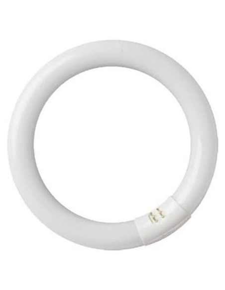 GSC - Tubo fluorescente circular T9 trifósforo 22W G10q 6400K
