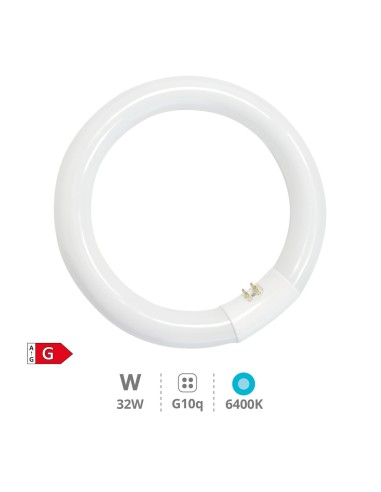 GSC - Tubo fluorescente circular T9 trifósforo 32W G10q 6400K
