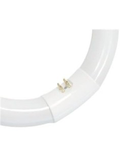 GSC - Tubo fluorescente circular T9 trifósforo 32W G10q 6400K 2