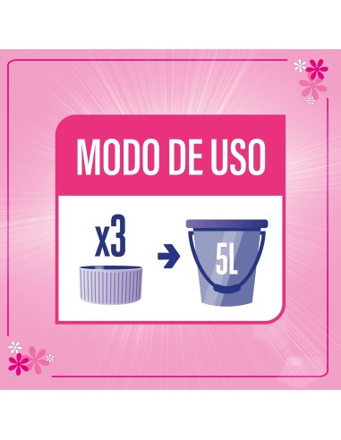 Limpiador de Suelos Exteriores Asevi | Elimina Verdín y Suciedad