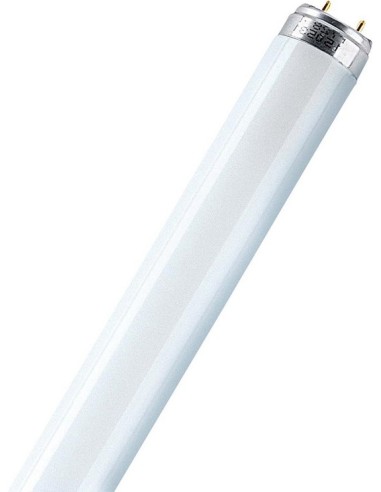 Ossun. Tubo fluorescente T8 18w 865