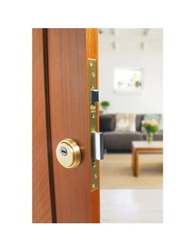 Escudo Seguridad Amig 6358 | Latón Macizo Antitaladro