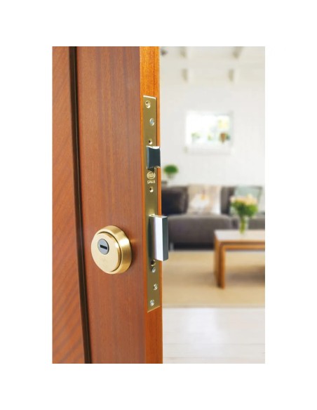 Escudo Seguridad Amig 6358 | Latón Macizo Antitaladro