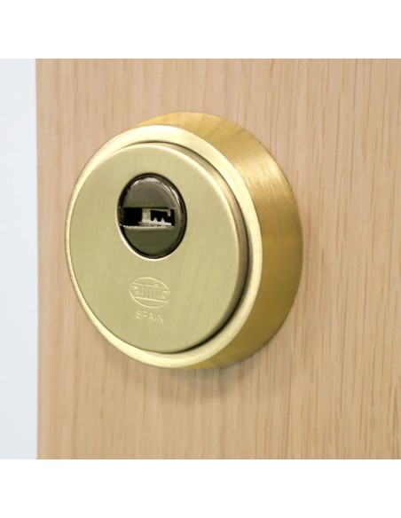 Escudo Seguridad Amig 6358 | Latón Macizo Antitaladro