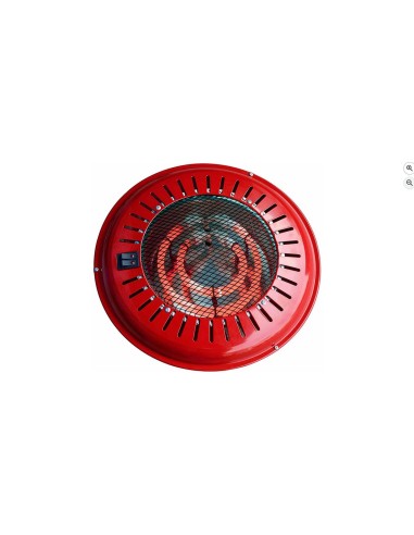 RAYDAN Home Brasero Eléctrico, Rojo, 800W