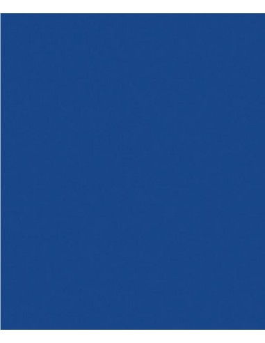 Faren - ESMALTE ACRÍLICO SPRAY PROFESIONAL RAL 5005 Azul Señales