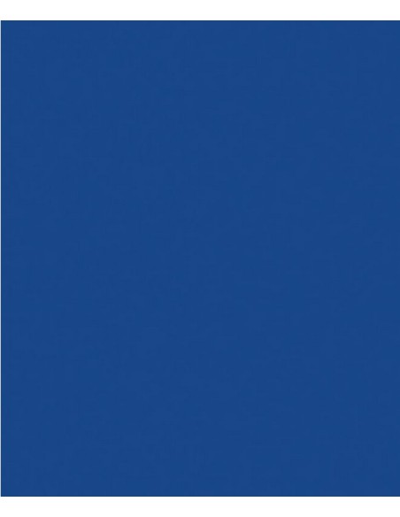 Faren - ESMALTE ACRÍLICO SPRAY PROFESIONAL RAL 5005 Azul Señales