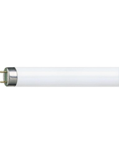 Ossun | Lámpara fluorescente 36W | Tubo T8